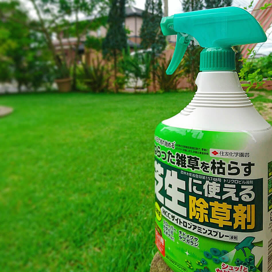 芝生に生える雑草の種類 雑草取りに使う道具や除草剤は 楽して楽しむガーデニング 雑草に対する2 Xコンポフロラニド 芝生肥料 コケコンプリートケア 6 Kg Vladatk Gov Ba