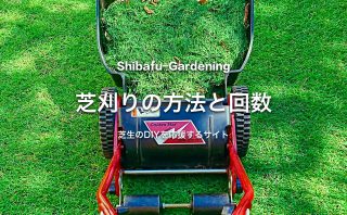 コアリング作業で 古くなった床土を入れ替える 芝生のdiyなら芝生ガーデニング コアリング作業で 古くなった床土を入れ替える 芝生のdiyなら芝生ガーデニング