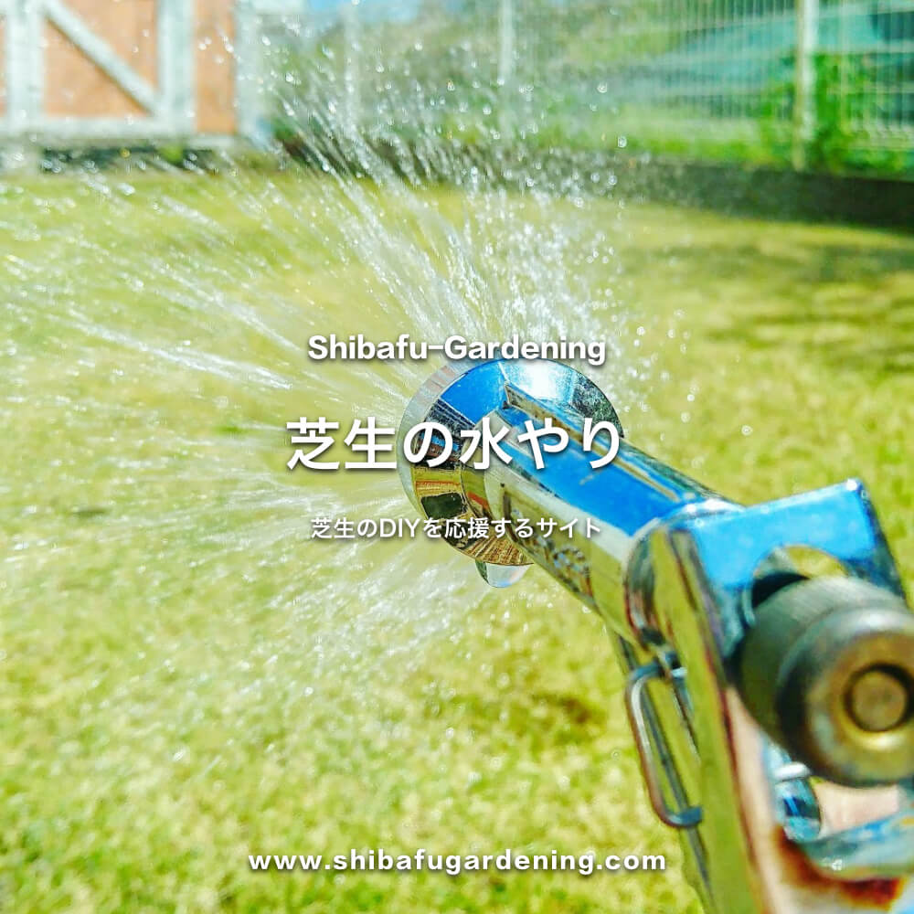 芝生の水やり