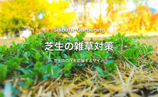 スズメノカタビラ 芝生に生える雑草 芝生のdiyなら芝生ガーデニング