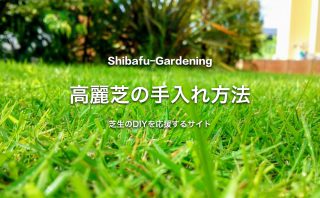 芝生のエアレーションとは 時期 頻度 スパイク道具を紹介 芝生のdiyなら芝生ガーデニング 芝生のエアレーションとは 時期 頻度 スパイク道具を紹介 芝生のdiyなら芝生ガーデニング