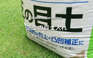 根切り 芝生のスライシング作業でいつまでも綺麗な芝生を維持する 芝生のdiyなら芝生ガーデニング 根切り 芝生のスライシング作業でいつまでも綺麗な芝生を維持する 芝生のdiyなら芝生ガーデニング