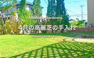 芝生のエアレーションが手軽に出来るガーデンスパイク 芝生のdiyなら芝生ガーデニング 芝生のエアレーションが手軽に出来るガーデンスパイク 芝生のdiyなら芝生ガーデニング