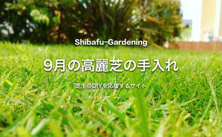 2月の高麗芝の手入れ 芝生のdiyなら芝生ガーデニング 2月の高麗芝の手入れ 芝生のdiyなら芝生ガーデニング