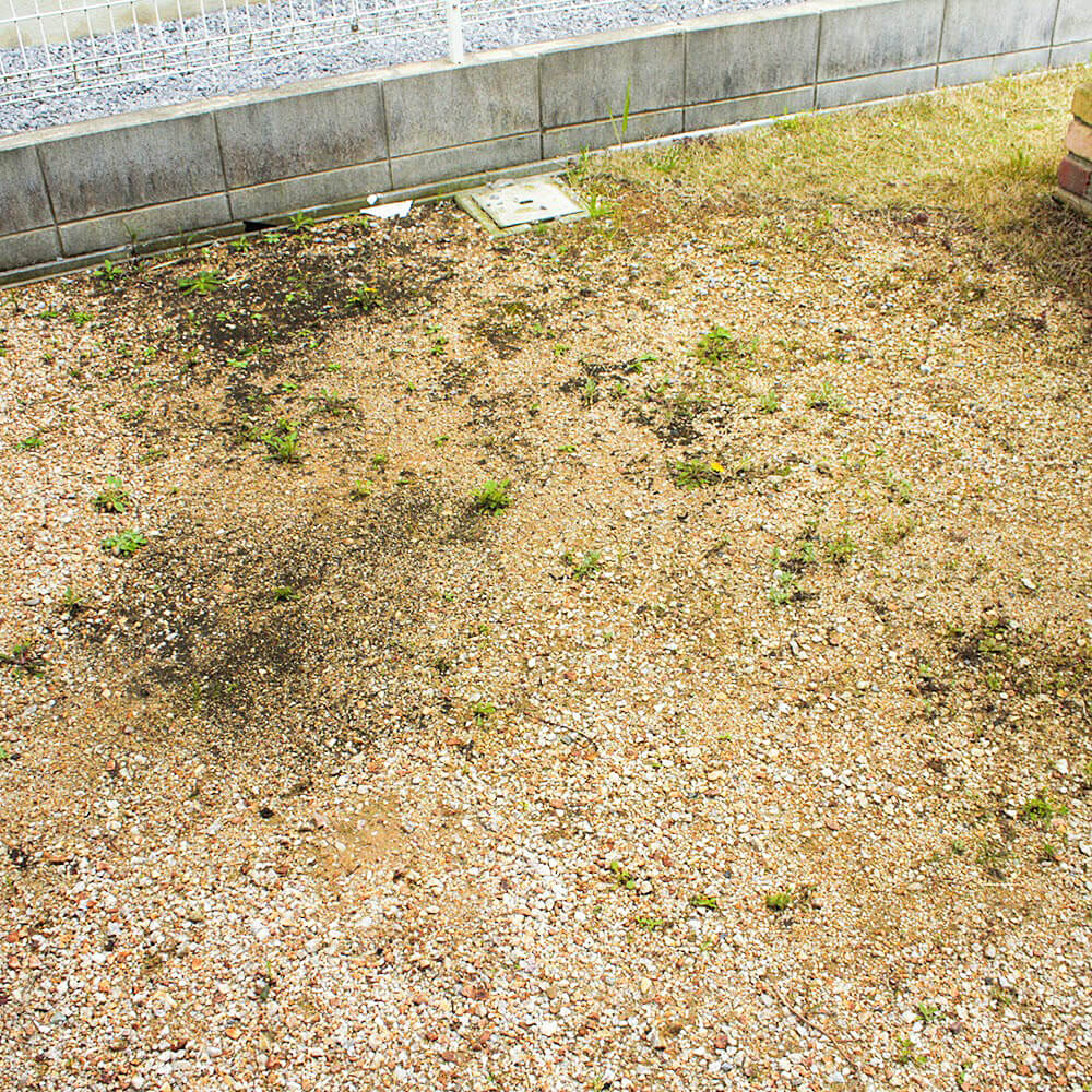 芝生を植える場所