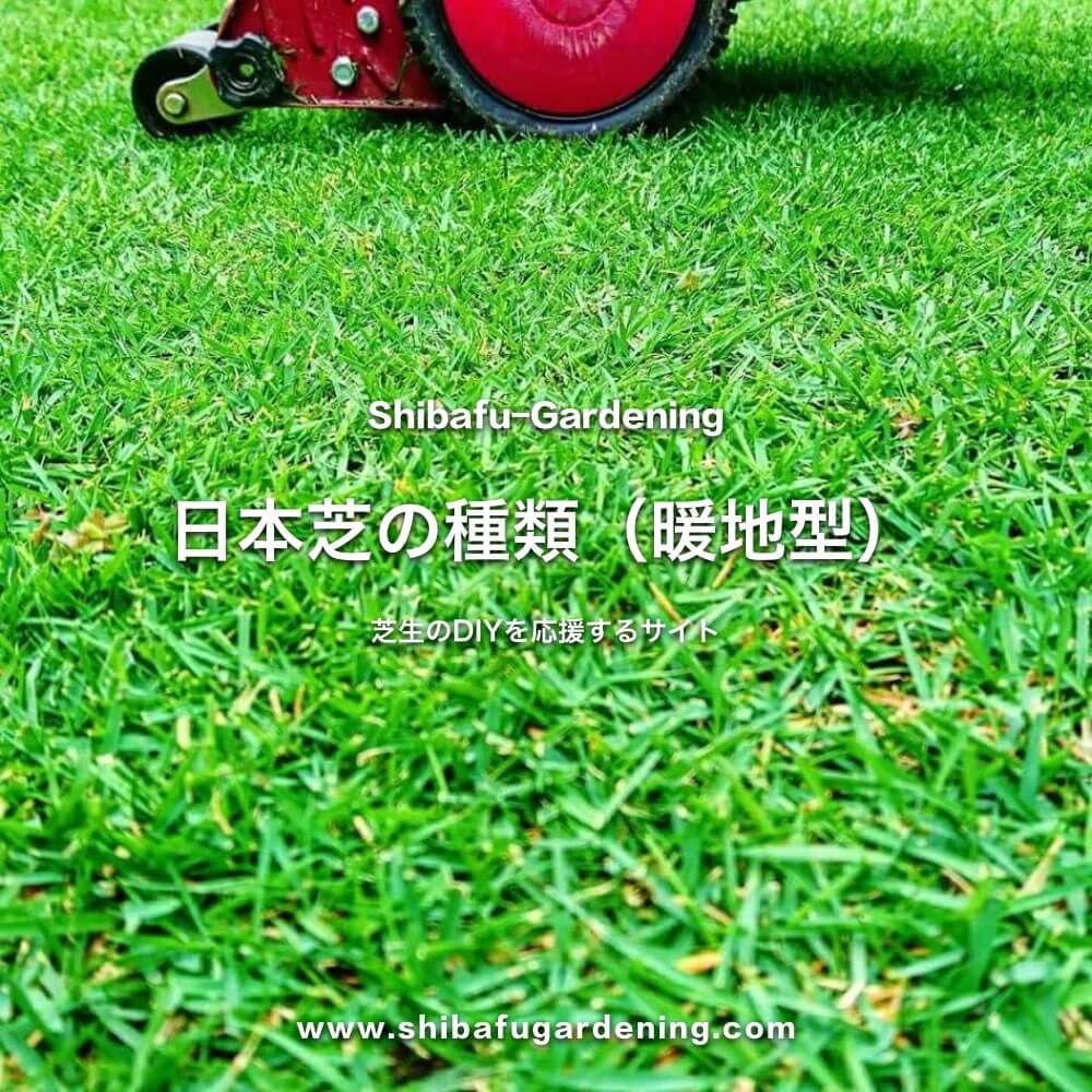 日本芝の種類 高麗芝 姫高麗芝 Tm9の特徴と植え方 育て方 芝太郎 日本芝の種類 高麗芝 姫高麗芝 Tm9の特徴と植え方 育て方 芝太郎