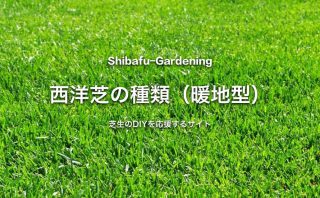 フェスク類 暑さにも強い寒地型の西洋芝 芝生のdiyなら芝生ガーデニング フェスク類 暑さにも強い寒地型の西洋芝 芝生のdiyなら芝生ガーデニング