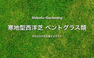 初心者が育てやすい芝生の種類 芝生のdiyなら芝生ガーデニング 初心者が育てやすい芝生の種類 芝生のdiyなら芝生ガーデニング
