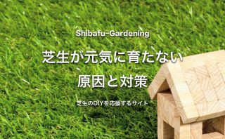 芝生が枯れる原因と再生する方法 芝生のdiyなら芝生ガーデニング 芝生が枯れる原因と再生する方法 芝生のdiyなら芝生ガーデニング