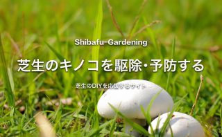 芝生が枯れる原因と再生する方法 芝生のdiyなら芝生ガーデニング 芝生が枯れる原因と再生する方法 芝生のdiyなら芝生ガーデニング