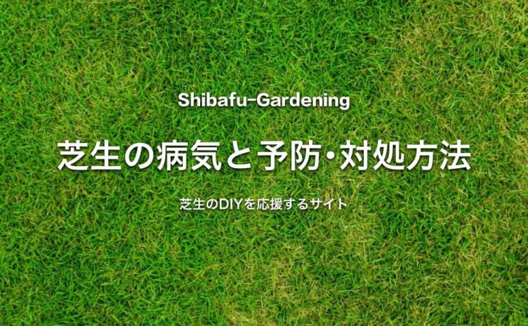 芝生のトラブルに関する記事一覧 芝生のdiyなら芝生ガーデニング 芝生のトラブルに関する記事一覧 芝生のdiyなら芝生ガーデニング