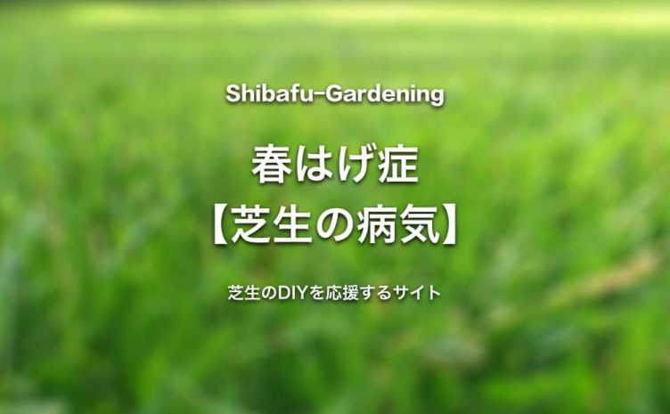 芝生のトラブルに関する記事一覧 芝生のdiyなら芝生ガーデニング 芝生のトラブルに関する記事一覧 芝生のdiyなら芝生ガーデニング