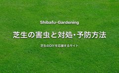 芝生のエアレーションとは 時期 頻度 スパイク道具を紹介 芝生のdiyなら芝生ガーデニング