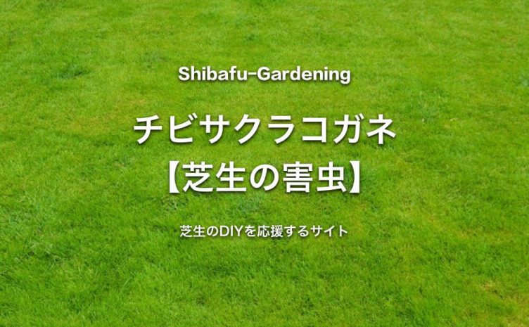年10月 芝生のdiyなら芝生ガーデニング 年10月 芝生のdiyなら芝生ガーデニング