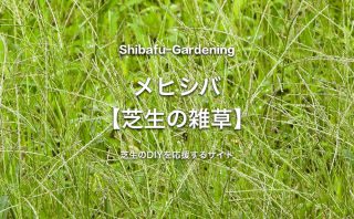 芝生用の除草剤 種類と失敗しない使い方 芝生のdiyなら芝生ガーデニング 芝生用の除草剤 種類と失敗しない使い方 芝生のdiyなら芝生ガーデニング