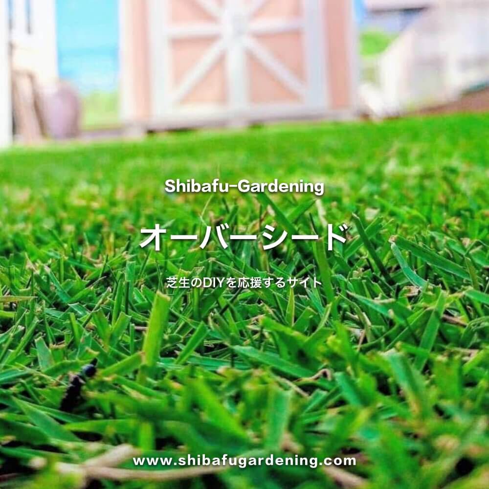 一年中緑の芝生を楽しめるオーバーシード | 芝太郎