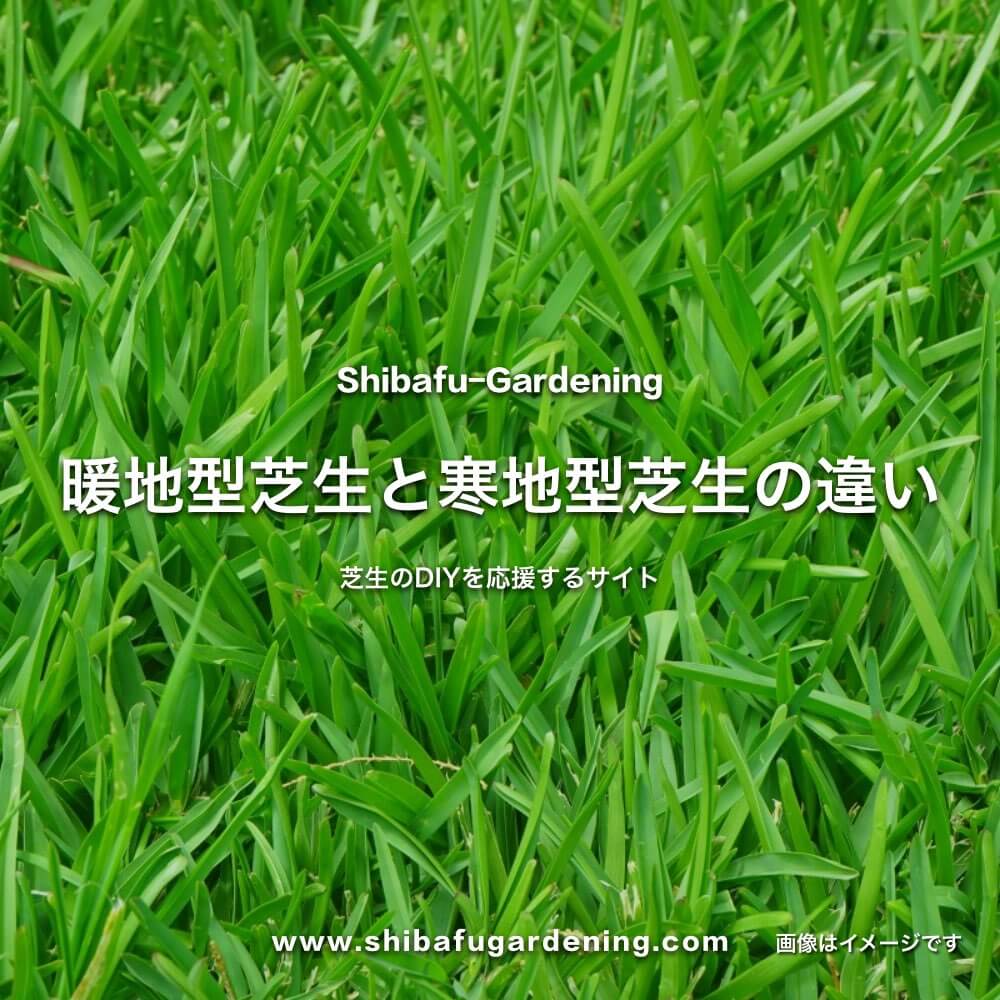 芝生の暖地型と寒地型の違い 生育気温が違うので植えられる地域が異なります 芝太郎