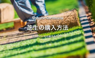 芝生の価格はどれくらいか ホームセンターとネットショップを調べてみた 芝生のdiyなら芝生ガーデニング 芝生の価格はどれくらいか ホームセンターとネットショップを調べてみた 芝生のdiyなら芝生ガーデニング