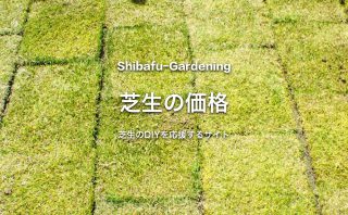 芝生の購入方法とショップによる価格の違いを知ろう 芝生のdiyなら芝生ガーデニング 芝生の購入方法とショップによる価格の違いを知ろう 芝生のdiyなら芝生ガーデニング