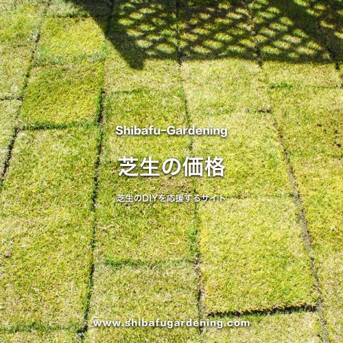 芝生 価格 ホームセンター 芝生 ホームセンター通販のカインズ