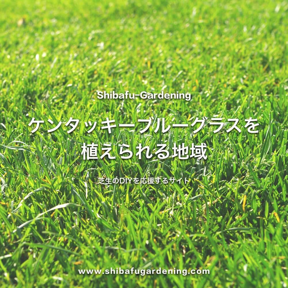 ケンタッキーブルーグラス 西洋芝 が育つ地域は北海道と東北地方 芝太郎