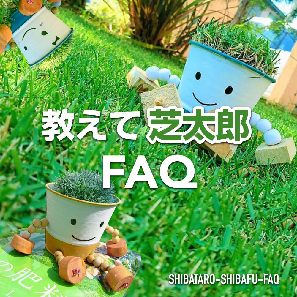 faq-image